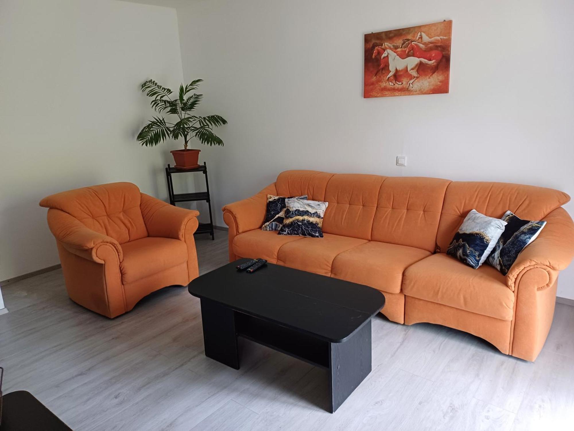 Apartma Ginga *