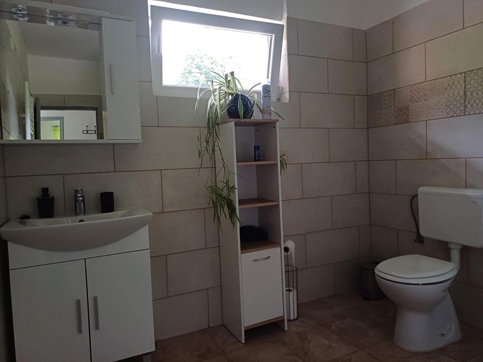 Apartma Ginga Apartment Osilnica